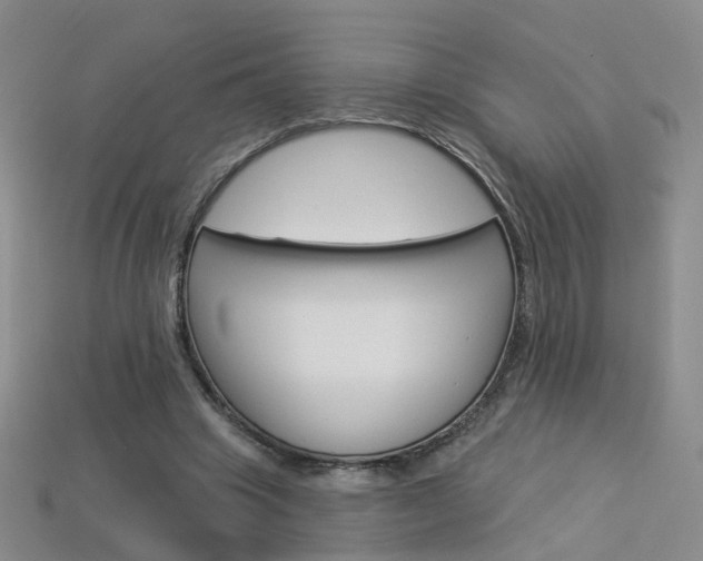 X0000114100441200910051234