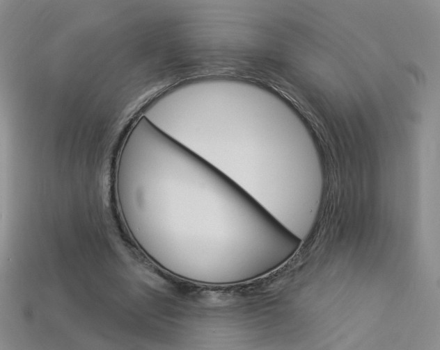 X0000114100442200910051234