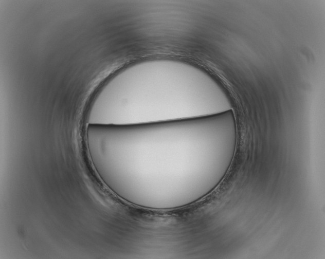 X0000114100443200910051234