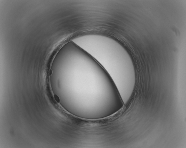 X0000114100444200910051234