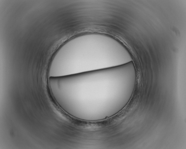 X0000114100445200910051234