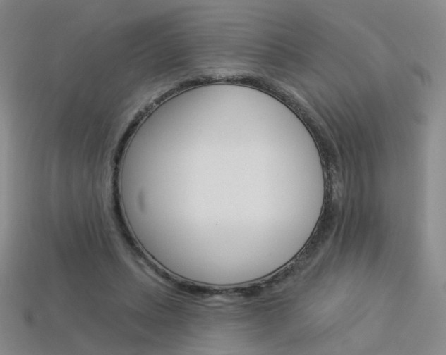 X0000114100447200910051234