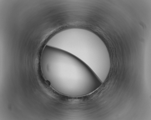 X0000114100448200910051234