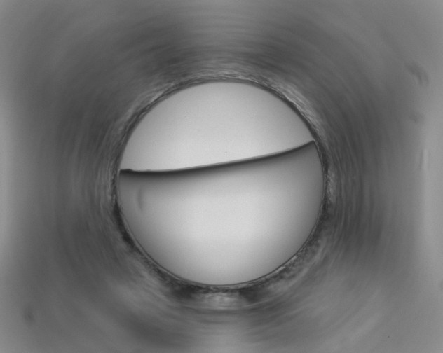 X0000114100449200910051234