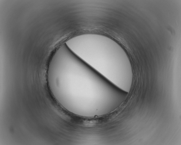 X0000114100450200910051234