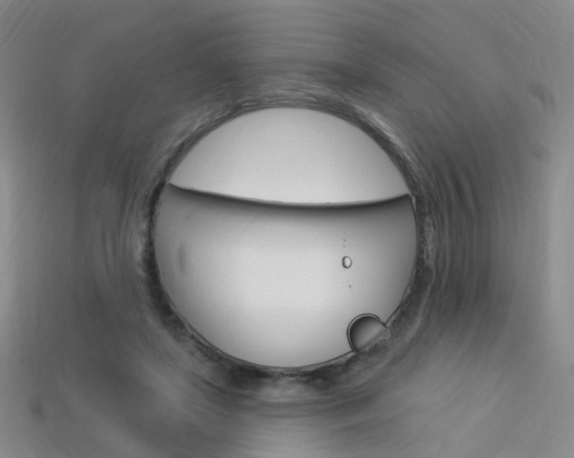 X0000114100451200910051234