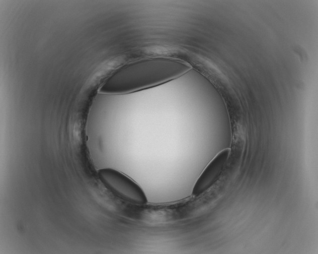 X0000114100452200910051234