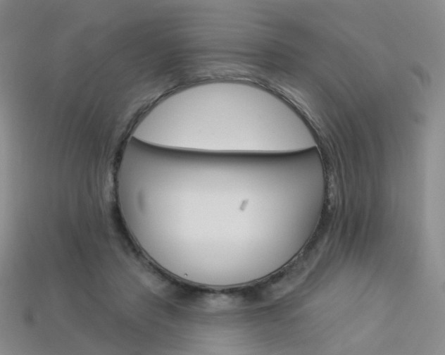 X0000114100453200910051234