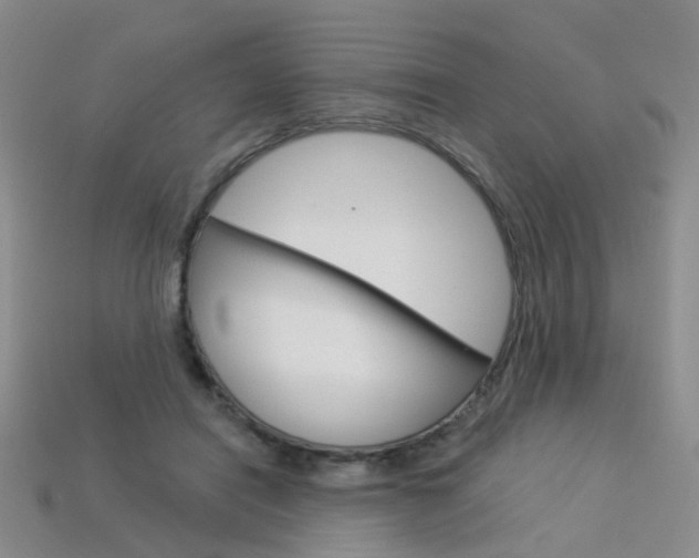 X0000114100454200910051234