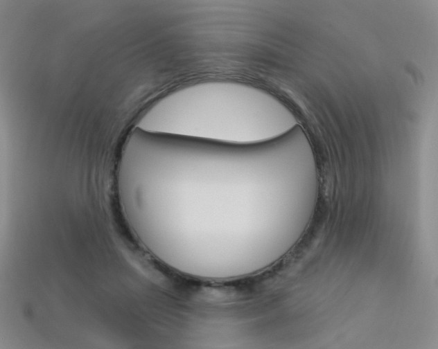 X0000114100455200910051234