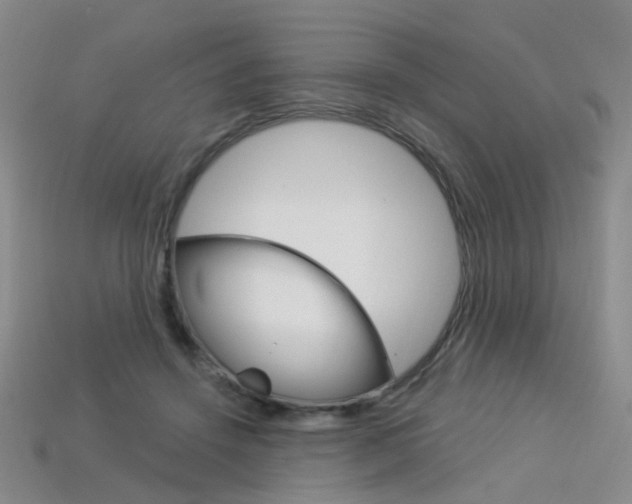 X0000114100456200910051234