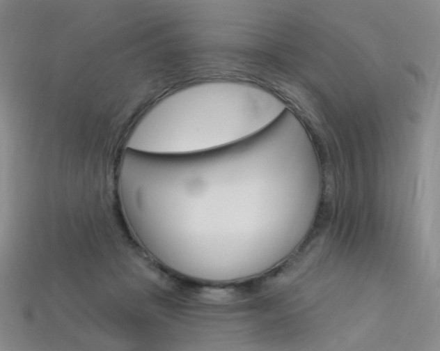 X0000114100457200910051234