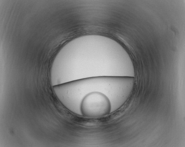 X0000114100459200910051234