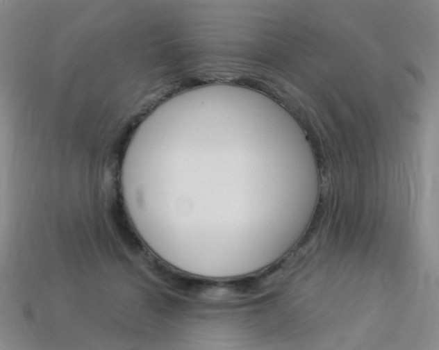 X0000114100460200910051234