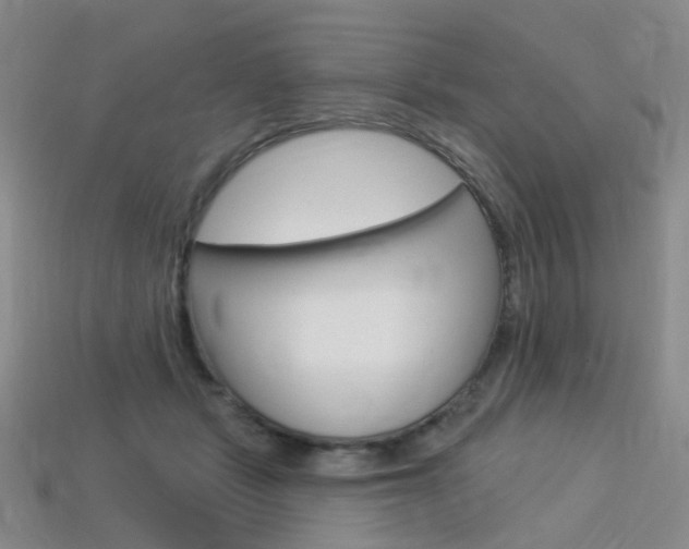 X0000114100461200910051234