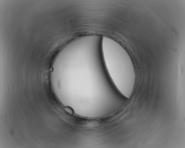 X0000114100462200910051234