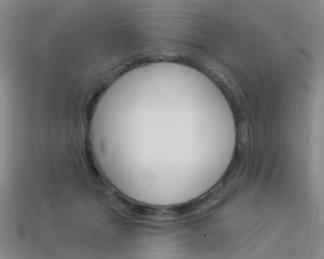 X0000114100463200910051234