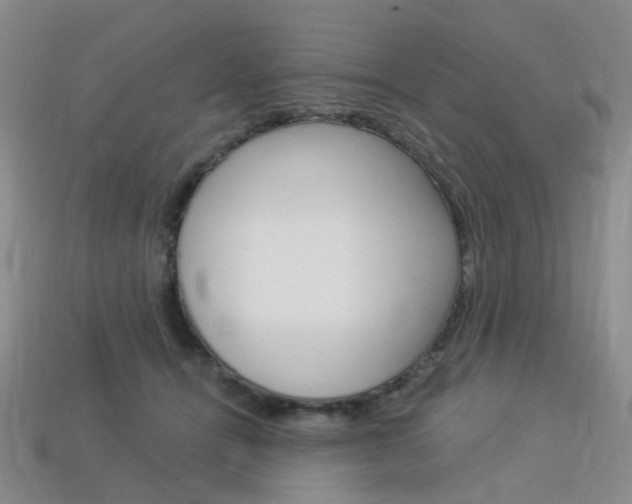 X0000114100464200910051234