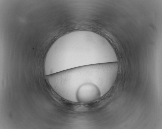 X0000114100465200910051234