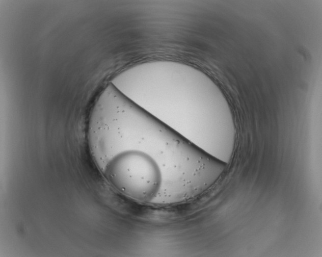 X0000114100466200910051234