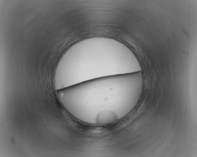 X0000114100467200910051234