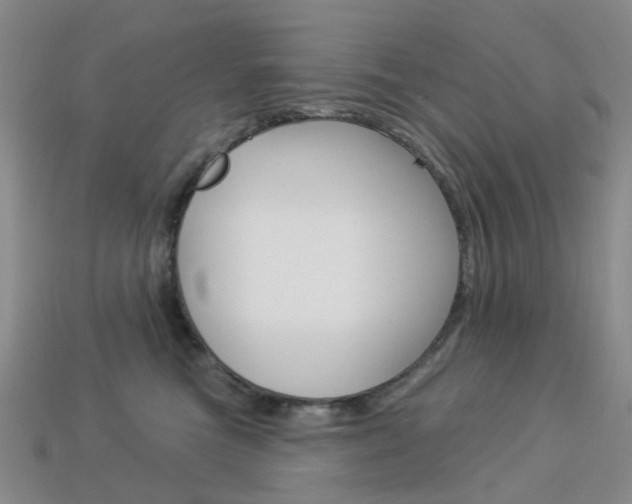 X0000114100473200910051234