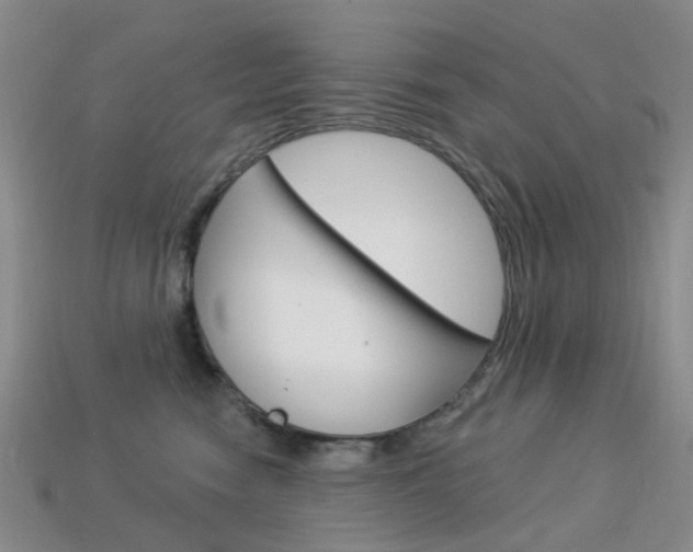 X0000114100474200910051234