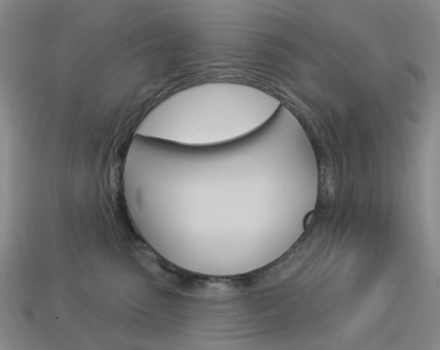 X0000114100475200910051234