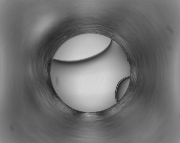 X0000114100477200910051234