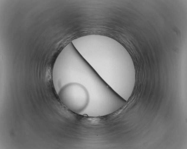 X0000114100478200910051234