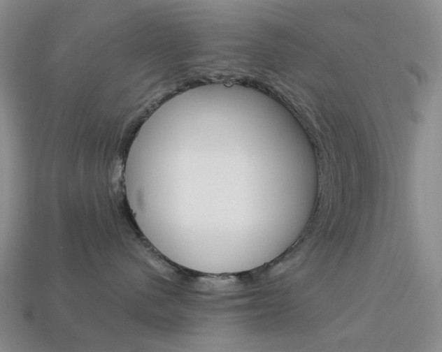 X0000114100480200910051234