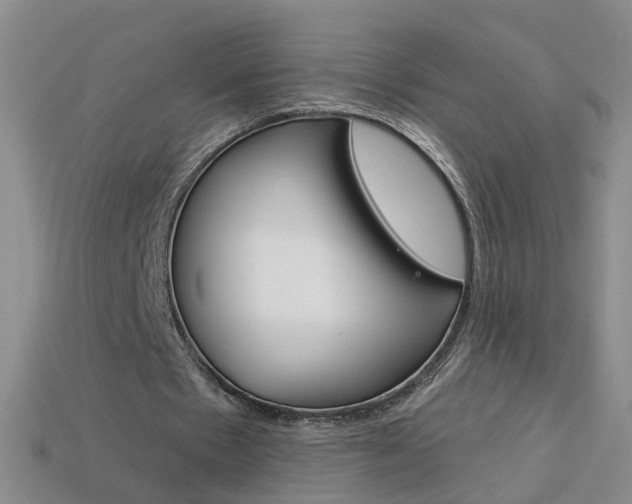 X0000114100481200910051234