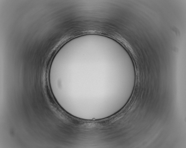 X0000114100482200910051234