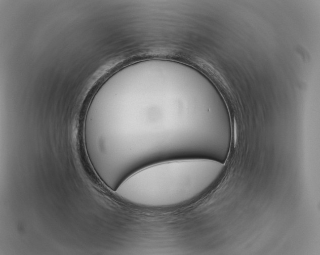 X0000114100483200910051234