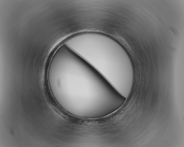 X0000114100484200910051234