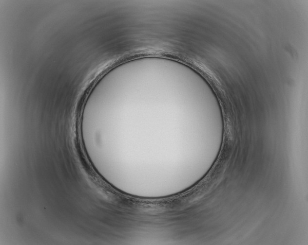 X0000114100486200910051234