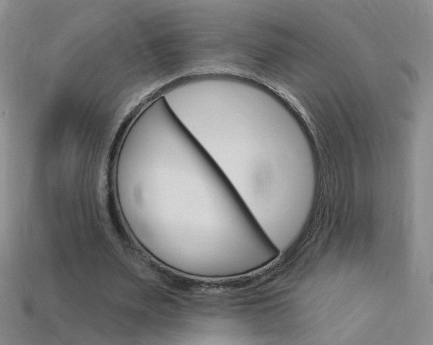 X0000114100487200910051234