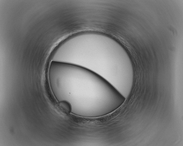 X0000114100488200910051234