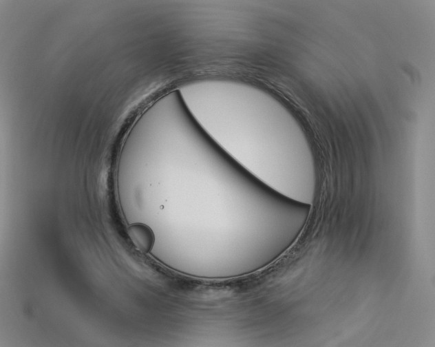 X0000114100491200910051234