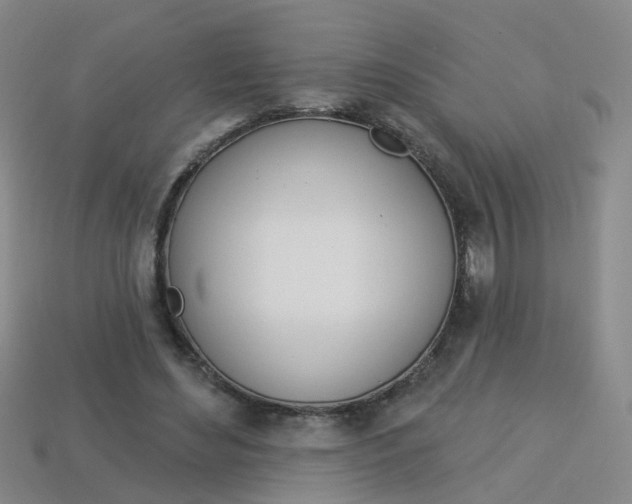 X0000114100492200910051234