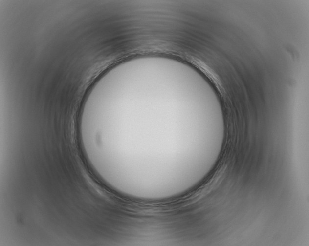 X0000114100493200910051233