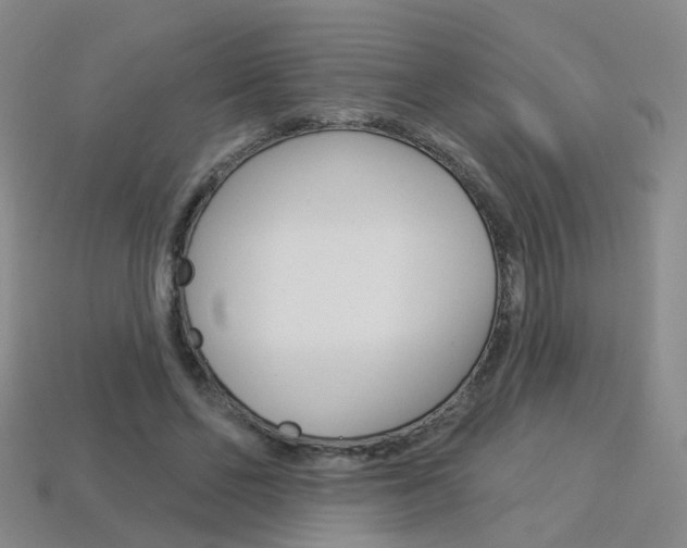 X0000114100494200910051233