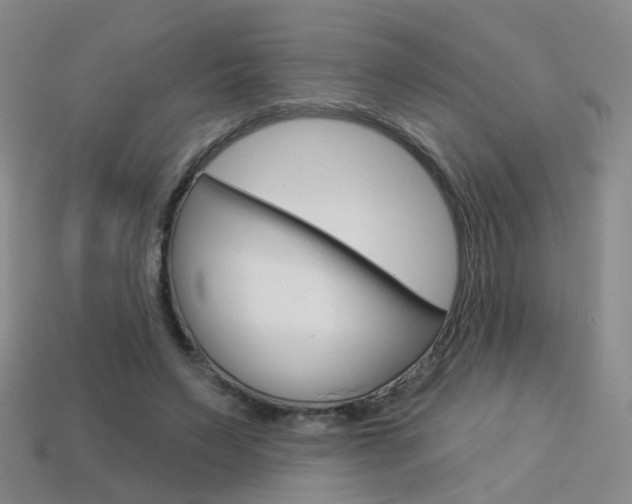 X0000114100495200910051233