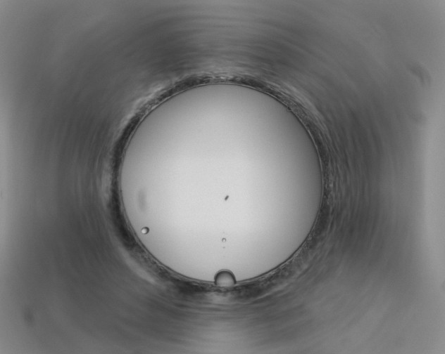 X0000114100496200910051233