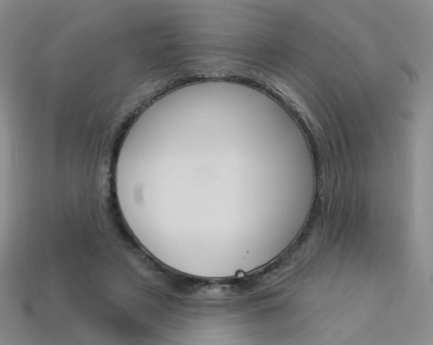 X0000114100497200910051233