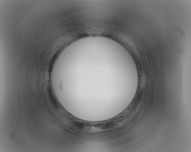 X0000114100498200910051233