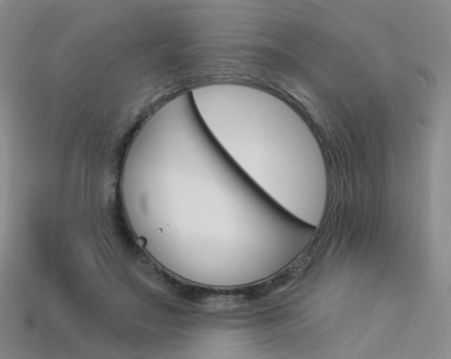 X0000114100499200910051233