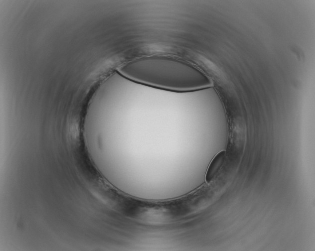 X0000114100500200910051233