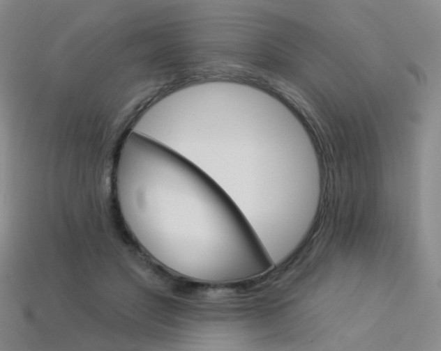 X0000114100501200910051233