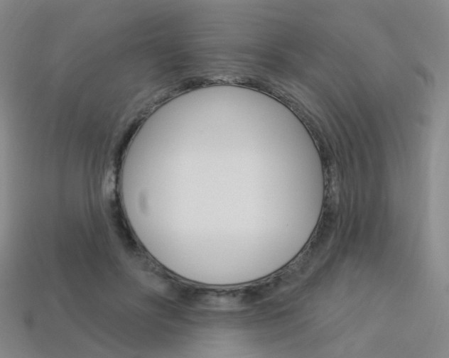 X0000114100502200910051233